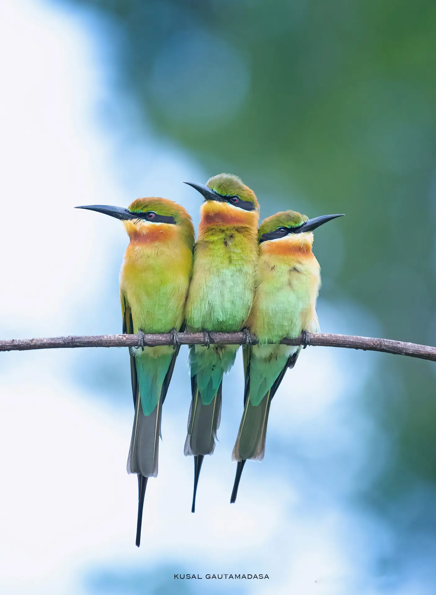 Yala National Park Photo Stories