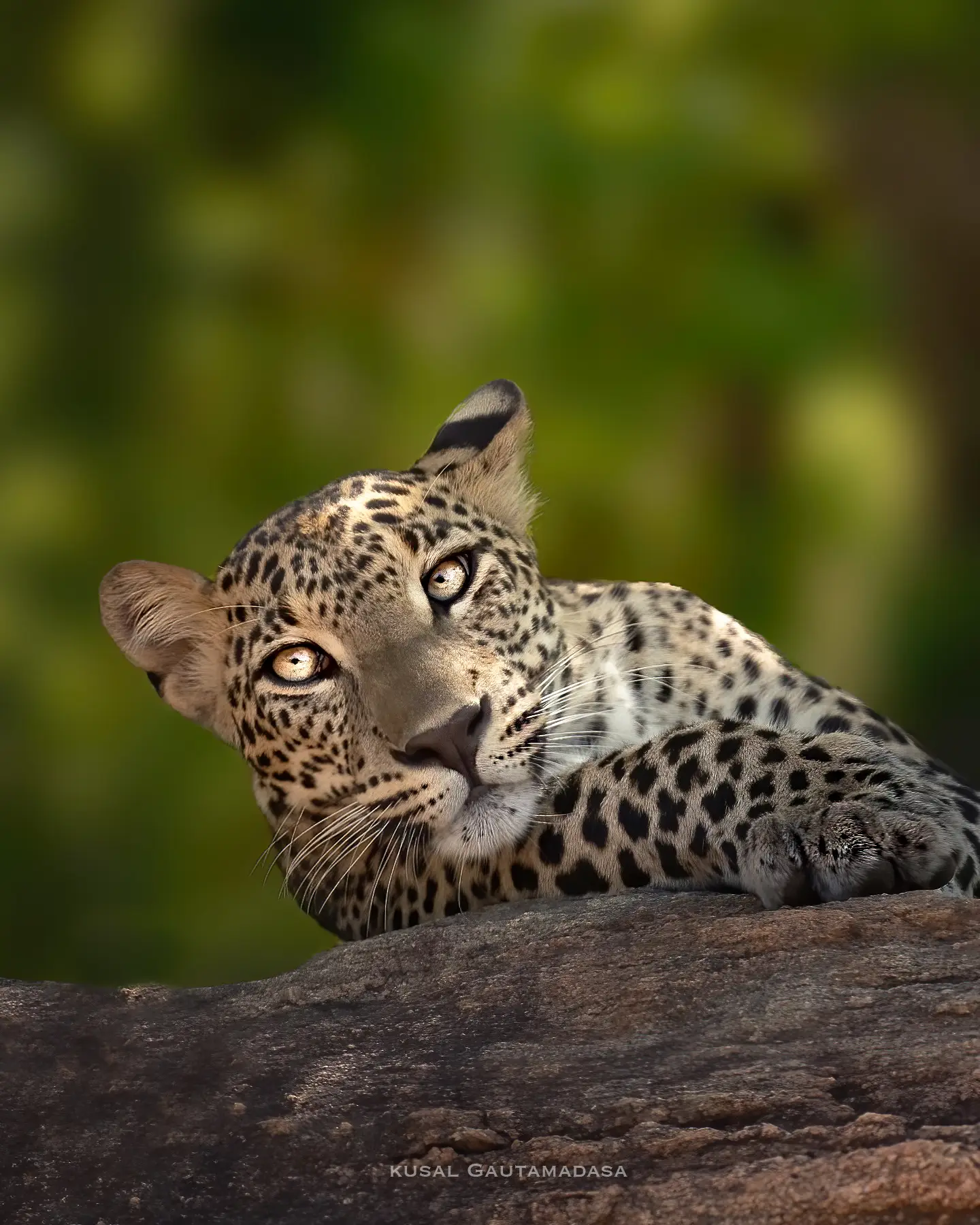 Yala National Park Photo Stories