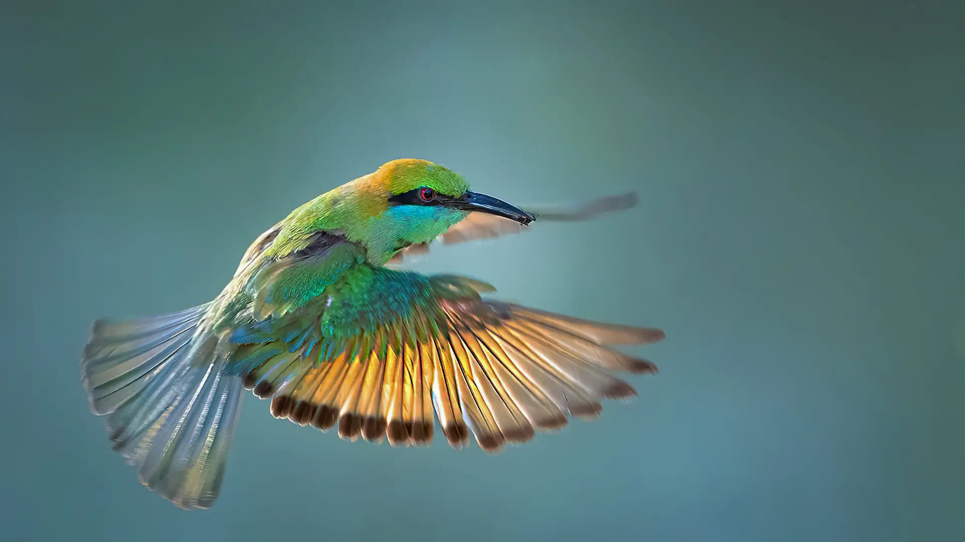 Yala National Park Photo Stories