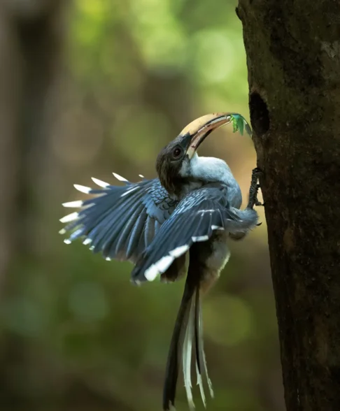 Wilpattu National Park Photo Stories