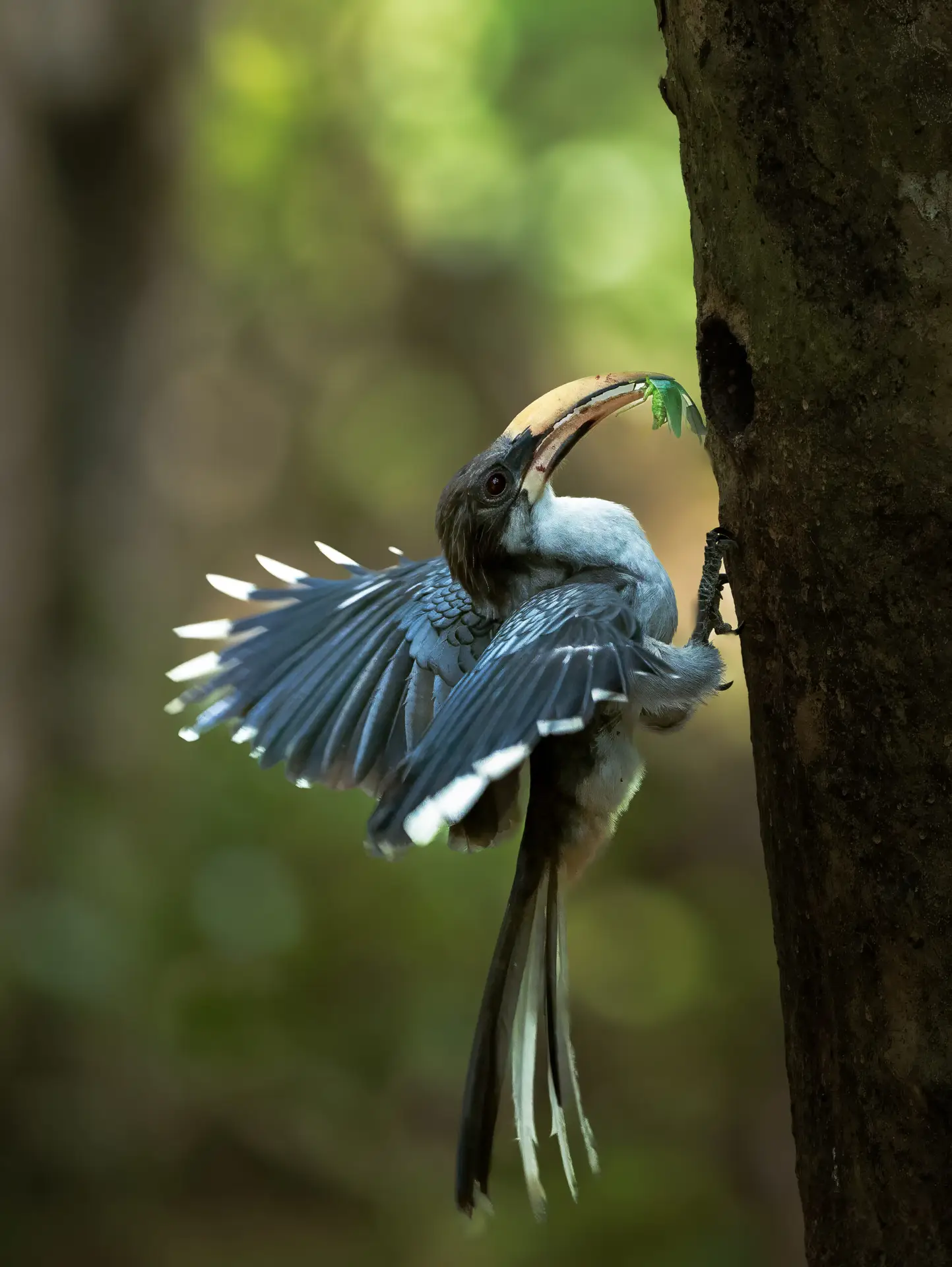 Wilpattu National Park Photo Stories
