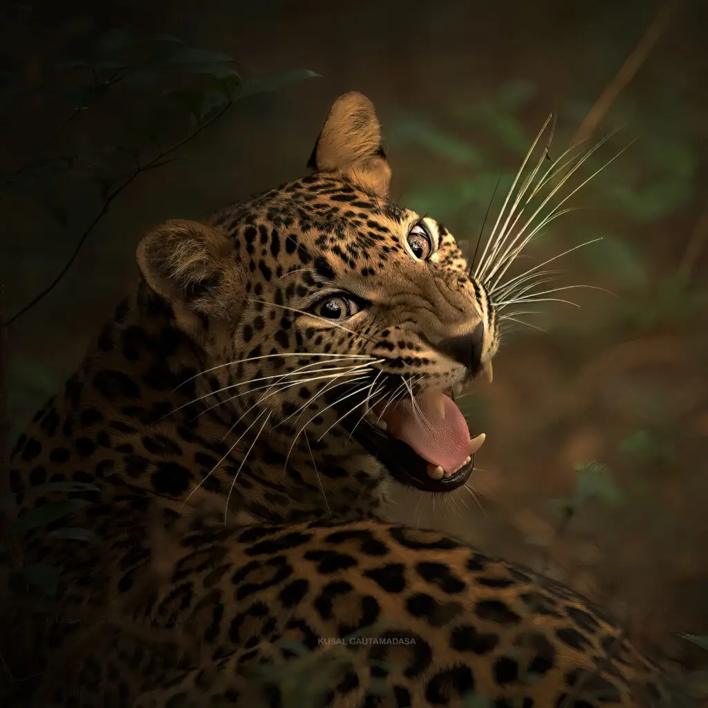 Wilpattu National Park Photo Stories