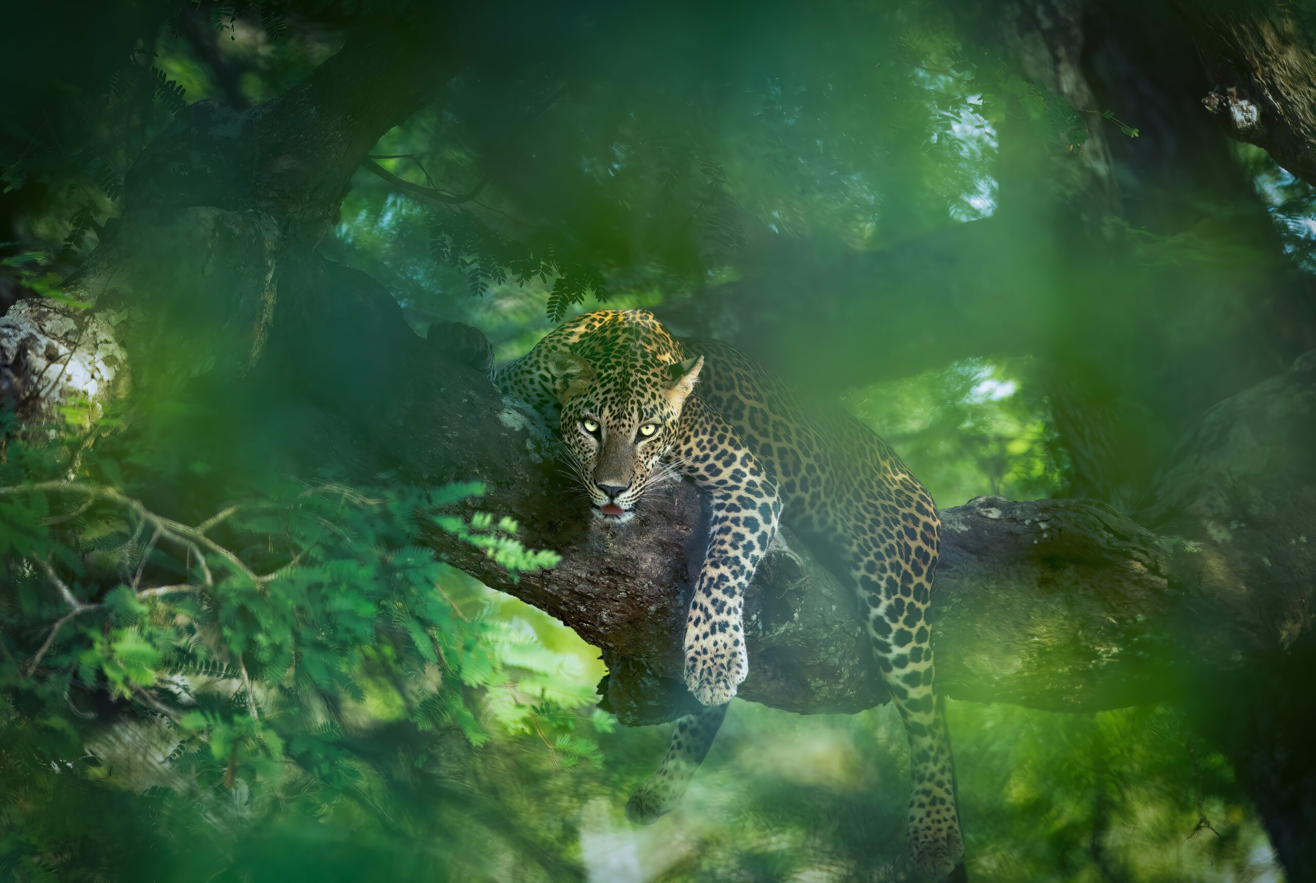 Photo Story of Kumana