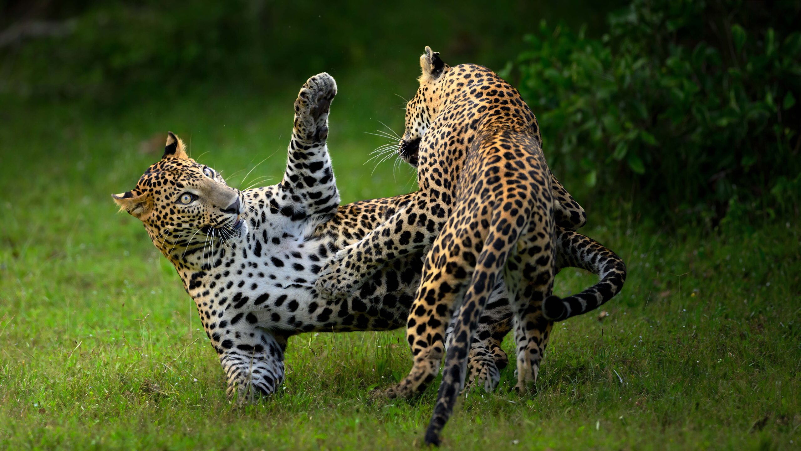 Learn. Explore. Create