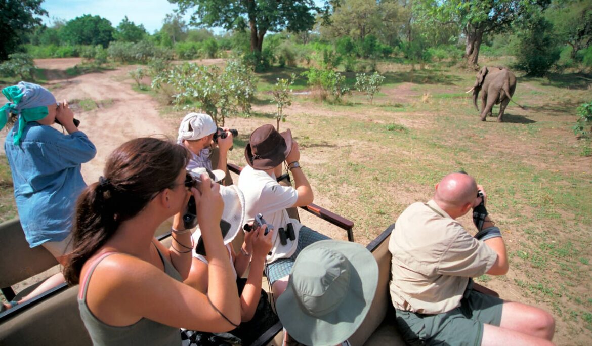 untamed-sri-lanka-photo-services