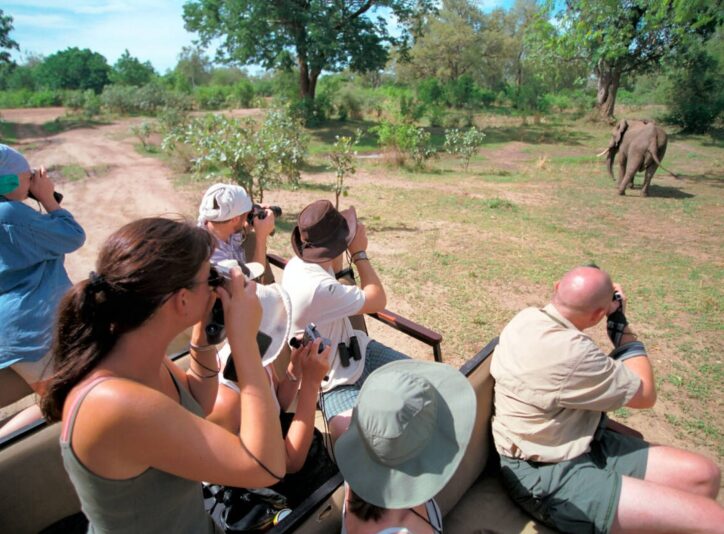 untamed-sri-lanka-photo-services